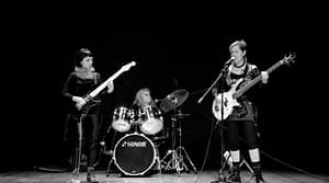 Polikarpa y sus Viciosas